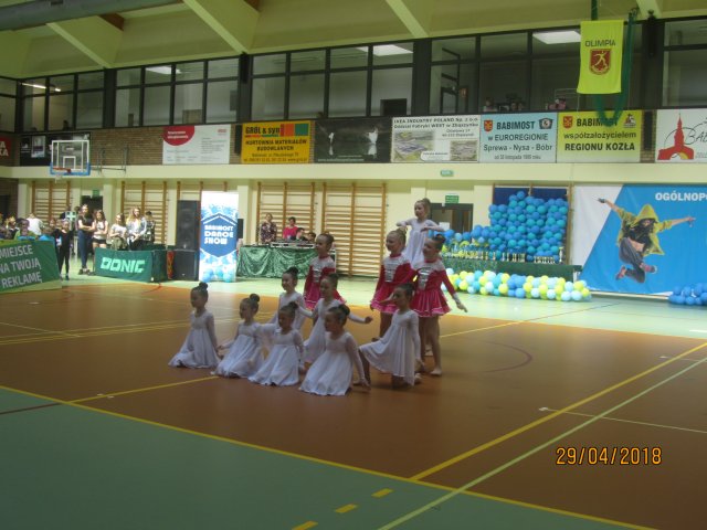 turta 519
